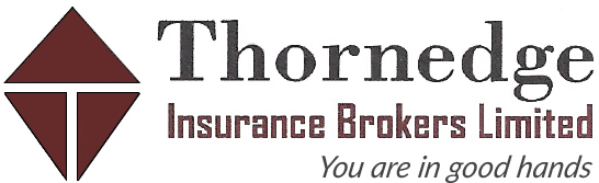 Thornedge Insurance Brokers logo